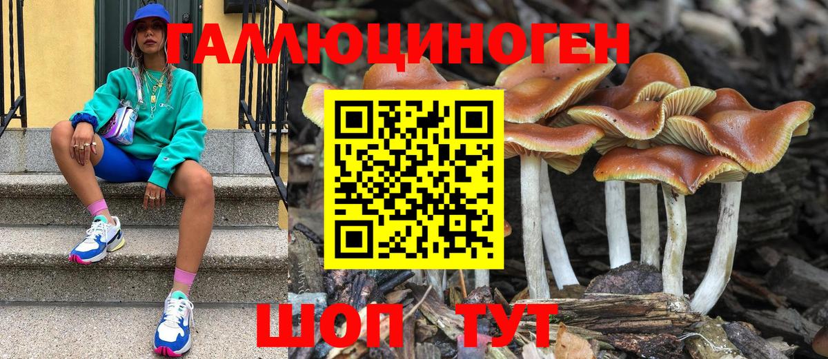 Дивногорск  Псилоцибиновые грибы MAGIC MUSHROOMS  Вход с VPN 